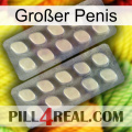 Großer Penis 07